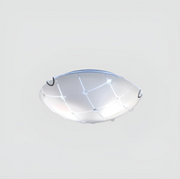 Glass ceiling Light-03. - Mr.Smart SA's Best Online Shopping Store