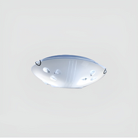 Glass ceiling Light-04. - Mr.Smart SA's Best Online Shopping Store