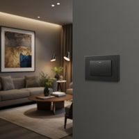 1 Lever 1 way switch - Silver.