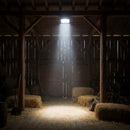 20W LED Flood Light.