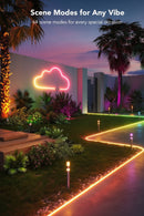 10M - RGB/Multicolor Neon LED Strip Light 220V.