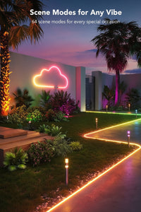 12V 5M LED RGB/Multicolor Neon strip light with remote controller.