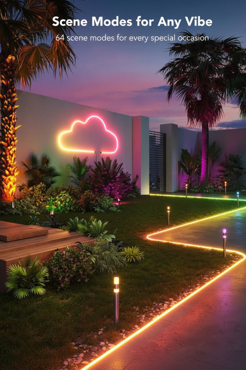 12V 5M LED RGB/Multicolor Neon strip light with remote controller.