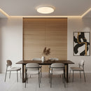 Radiant GSD Ceiling Light Lume LED 16w-RC247