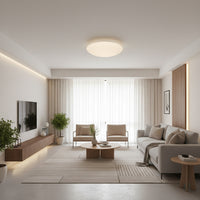 Radiant GSD Ceiling Light Ray LED 12w-RC246