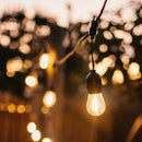 50m 100 Bulbs Plug-In LED Festoon String Light (1 year warranty).