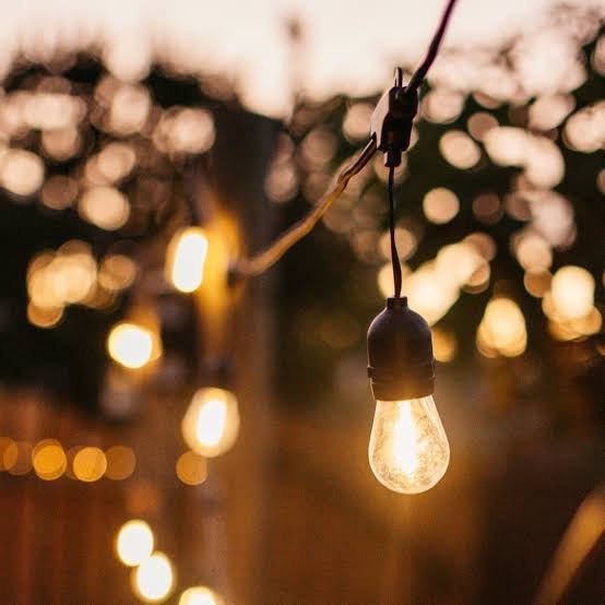 50m 100 Bulbs Plug-In LED Festoon String Light (1 year warranty).