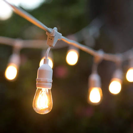 50m 100 Bulbs Plug-In LED Festoon String Light (1 year warranty).