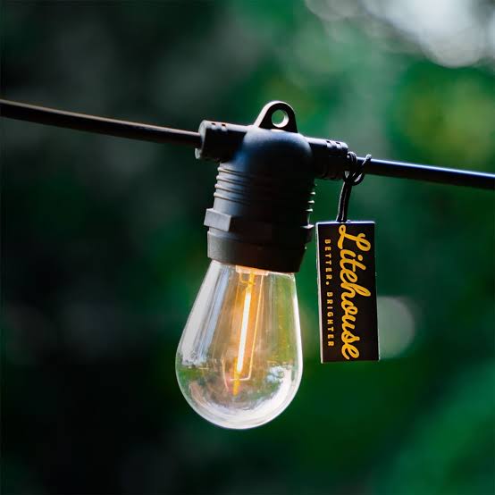 100m 200 Bulbs Plug-In LED Festoon String Light(1 year warranty).