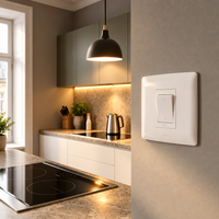 50A 2 Pole stove isolator - White.