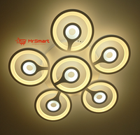 Modern Design Ceiling Light. - Mr.Smart SA's Best Online Shopping Store