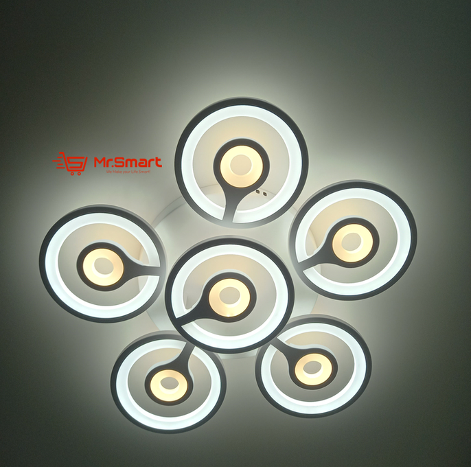 Modern Design Ceiling Light.