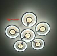 Modern Design Ceiling Light. - Mr.Smart SA's Best Online Shopping Store