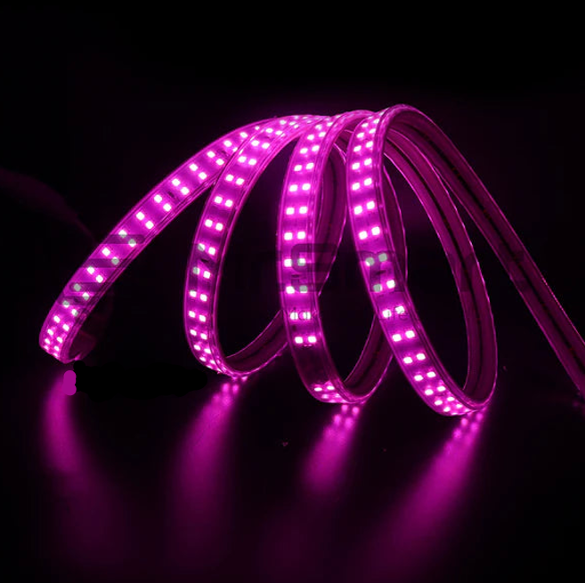 1M - LED Strip Light 220V. - Mr.Smart SA's Best Online Shopping Store