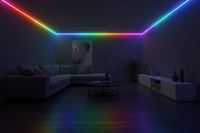 12V 5M LED RGB/Multicolor Neon strip light with remote controller.