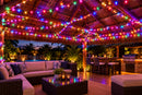 50M string clear cable Fairy Light - 220V.