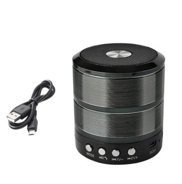 RKS-794 Mini Bluetooth Speaker. Mr.Smart SA's Best Online Shopping Store.