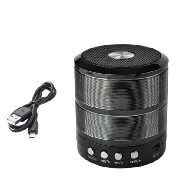 RKS-794 Mini Bluetooth Speaker.