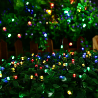 10M string Fairy Light - 220V