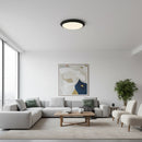 Indoor/Outdoor Waterproof Ceiling Light 18W