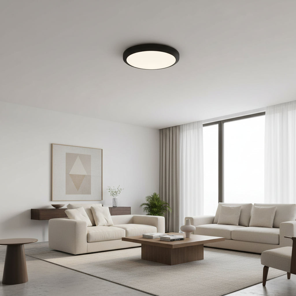 Indoor/Outdoor Waterproof Ceiling Light 18W