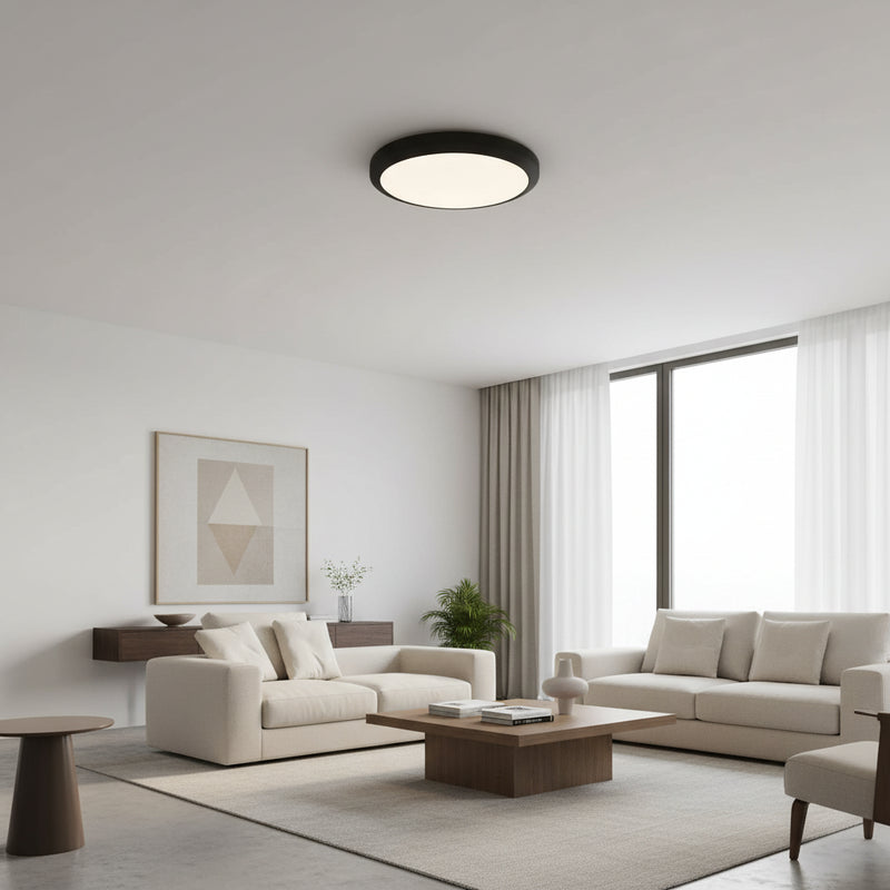 Indoor/Outdoor Waterproof Ceiling Light 18W