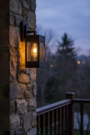 Modern Industrial Wall lamp with Mesh Shade DL6139BK.