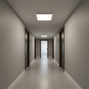 600MMX600MM 40W (5 years warranty) LED PANEL LIGHT-6500K.