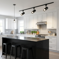 3 Wire Track For Track Light - Black.