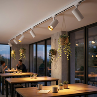 3 Wire Track For Track Light -White.