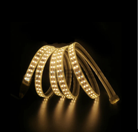 50M - LED Strip Light 220V. - Mr.Smart SA's Best Online Shopping Store